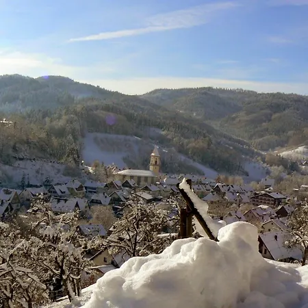 Pflug Ottenhofen im Schwarzwald