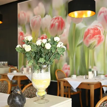 Hotel Pflug 3*