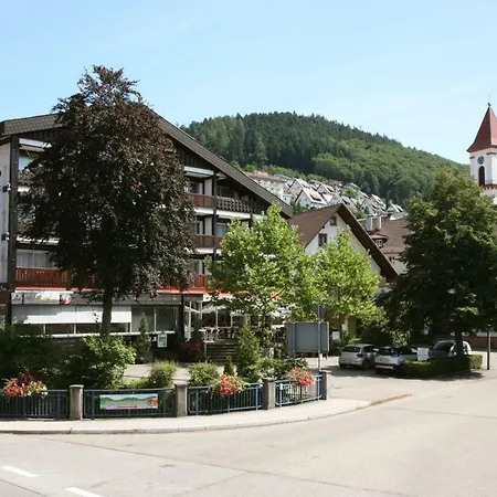 Hotel Pflug 3*